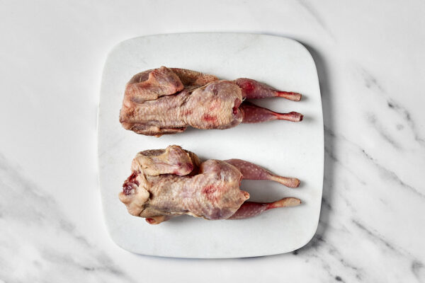 Pollo Picantón